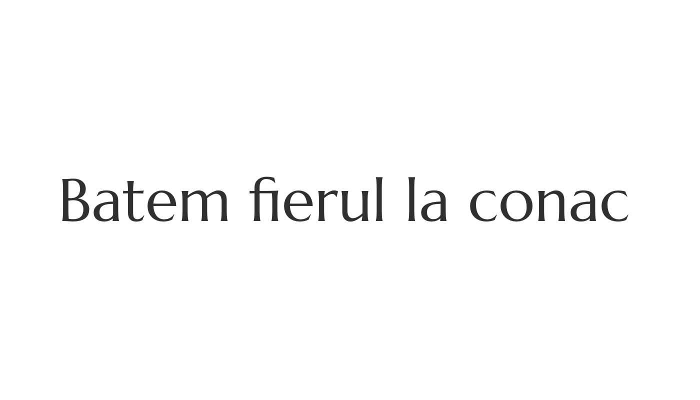 Batem Fierul la Conac logo